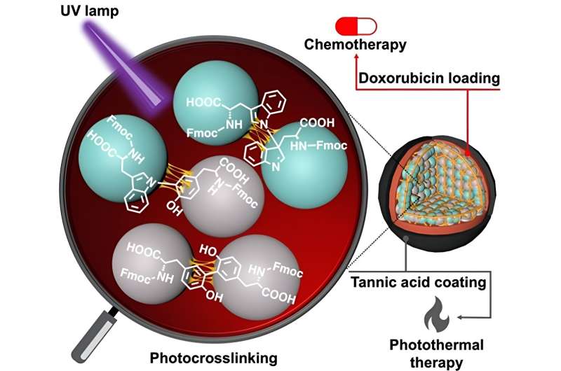 Criação de novas nanopartículas de aminoácidos com atividade anticancerígena aprimorada