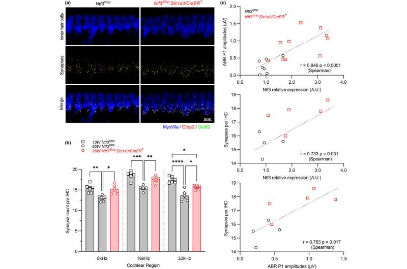 Creating supranormal hearing in mice