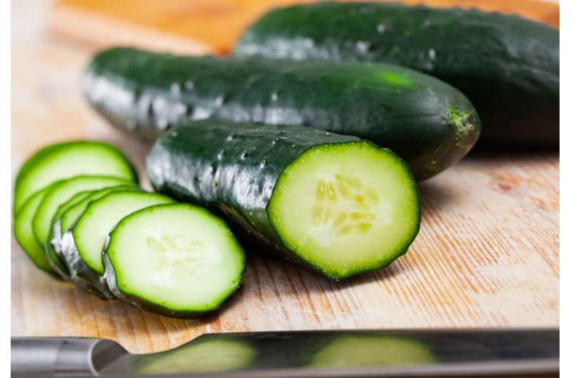 Cucumbers sold in 14 states recalled over salmonella concerns