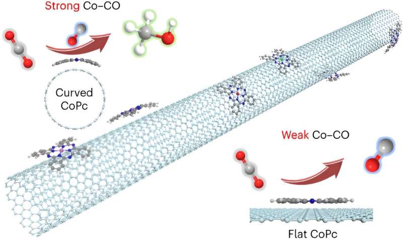 Curved carbon nanotubes enhance electrocatalysts for carbon neutrality