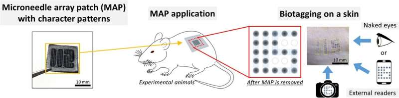 Customizable polymer molds for microneedle tattoos to ID pets instead of tags or collars