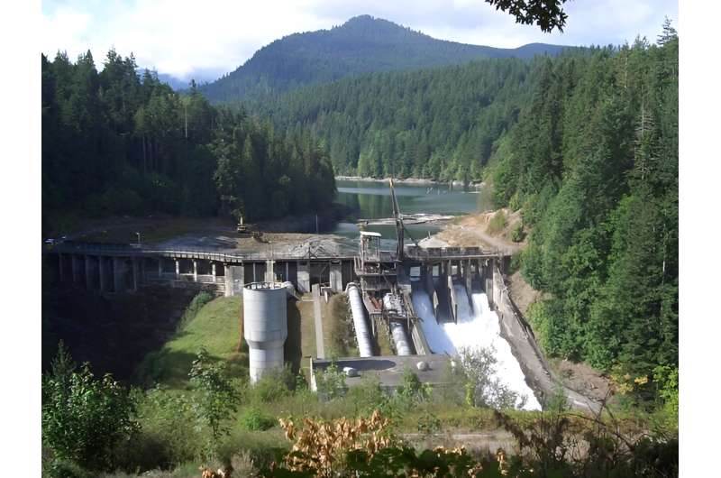Dam removal spurs the return of salmon—and a local tribe's hopes of sustainable fishing