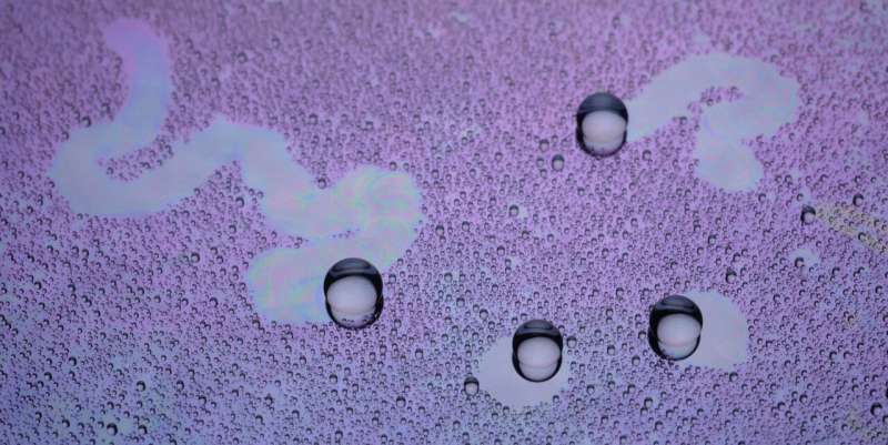 Dancing droplets' new spin on water harvesting
