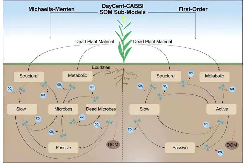 DayCent-CABBI: new model integrates soil microbes, large perennial grasses