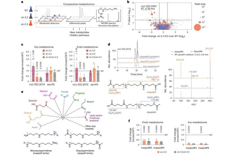 Deciphering molecular mysteries: New insights into metabolites that control aging and disease