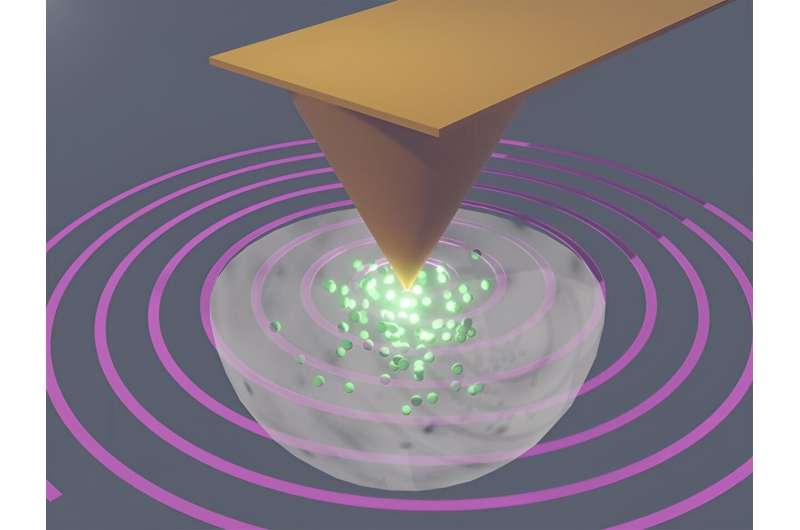 Deciphering the deep dynamics of electric charge