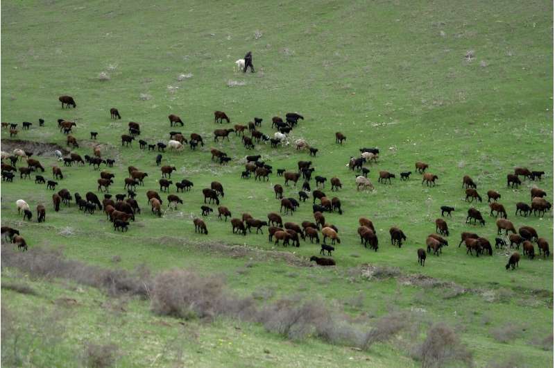 Decline in land quality is a major environmental challenge facing Central Asia