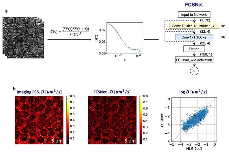 Deep learning for real-time molecular imaging
