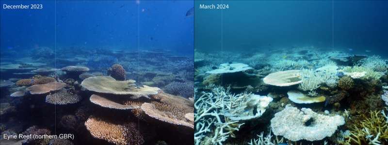 Deep parts of Great Barrier Reef 'insulated' from global warming – for now