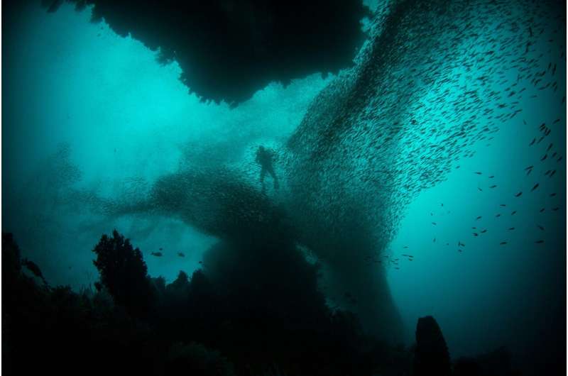 deep sea