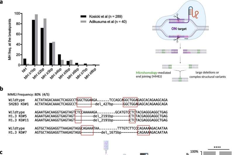 Defeating the deletion makes genome editing safer and more precise