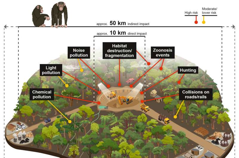 Demand for critical minerals puts African Great Apes at risk