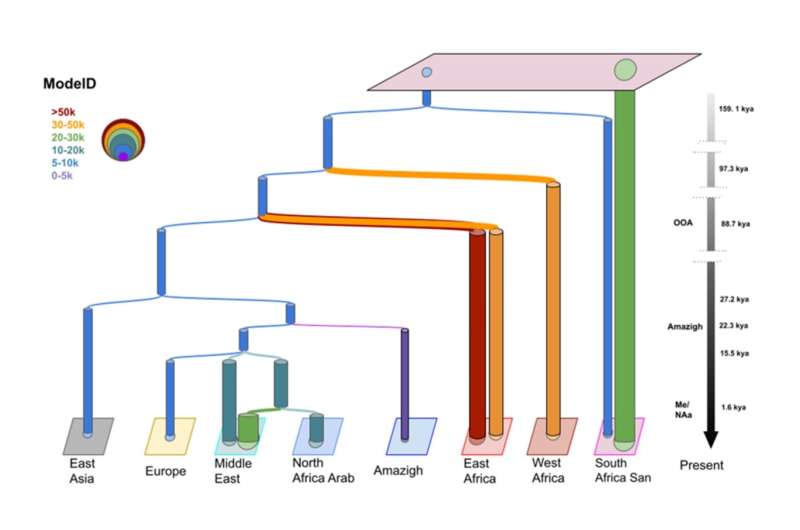 Demographics of north African human populations unravelled using genomic data and artificial intelligence. For the first time, this study places the origin of the Imazighen in the Epipaleolithic, more than twenty thousand years ago