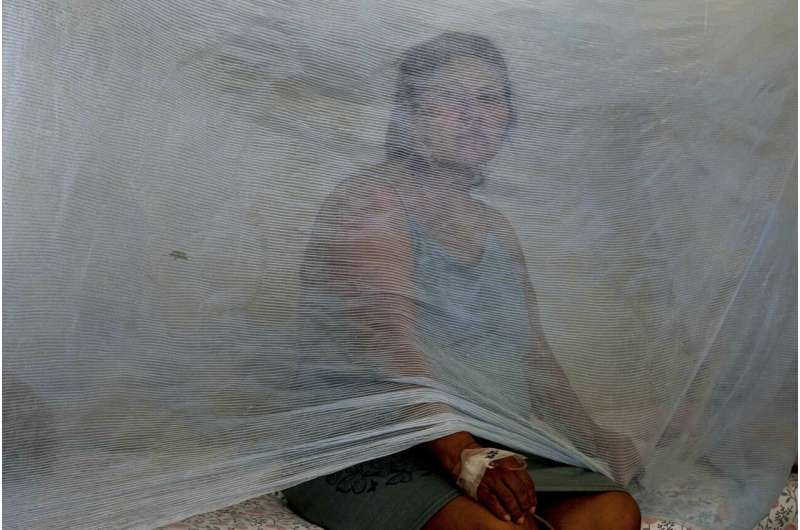Dengue cases in Peru are surging, fueled by mosquitoes and high temperatures brought by El Niño