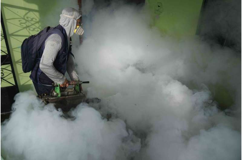 Dengue is sweeping through the Americas early this year
