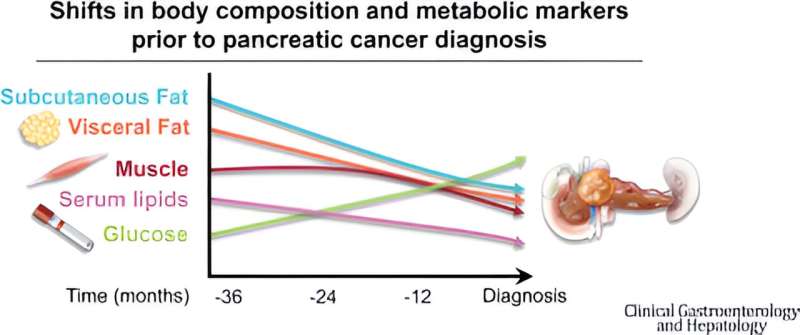 Detecting pancreatic cancer through changes in body composition and metabolism