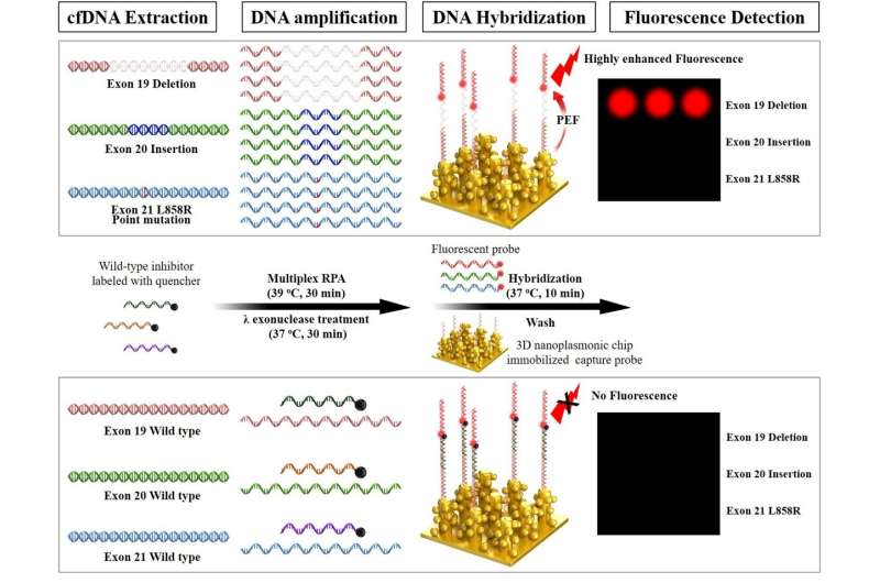 Goedkope nanomateriaaltechnologie kan kankergenen met ultrahoge gevoeligheid detecteren