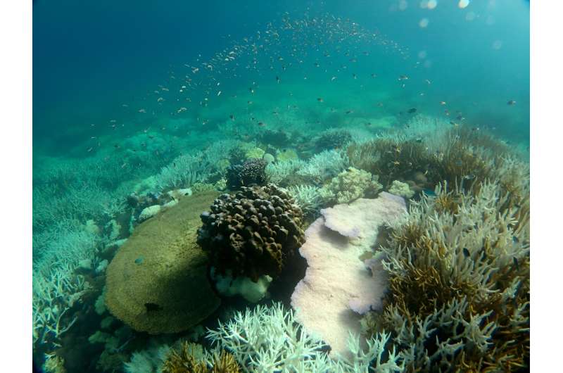 Devastating coral bleaching will be more common, start earlier and last longer unless we cut emissions