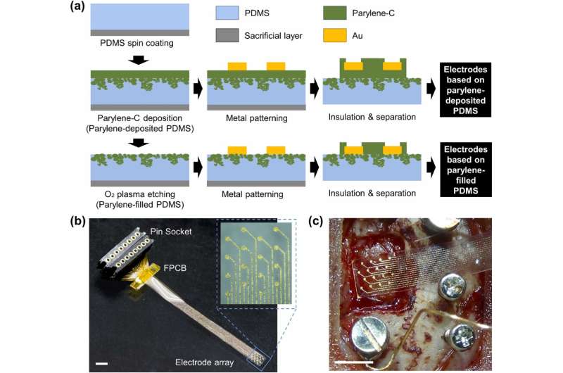 Development of soft and highly durable brain electrodes that stick to the brain to treat brain diseases