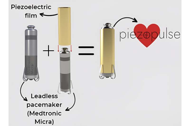 Device harvests heartbeat energy to extend pacemaker battery life