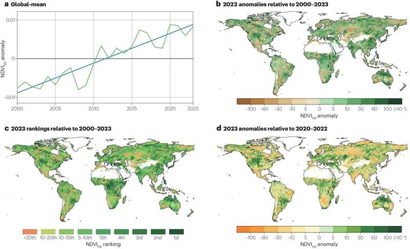 Did climate chaos cultivate or constrain 2023's greenery?