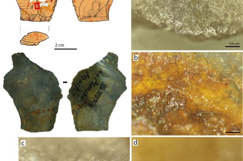 Did neanderthals use glue? Researchers find evidence that sticks