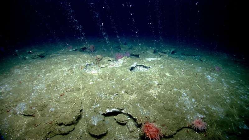 Did warmer seas lead to methane release?