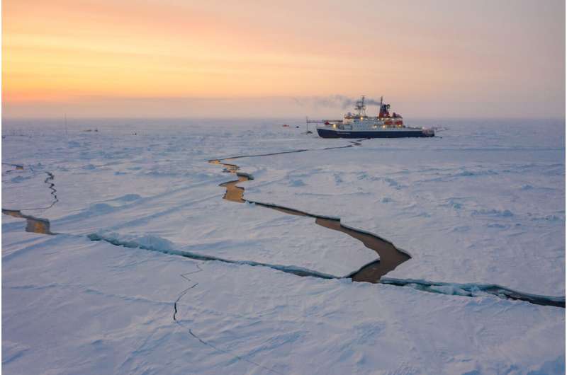 Diet of young polar cod more varied than previously assumed