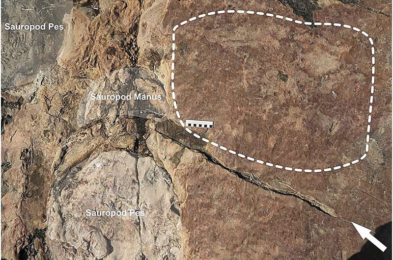 Dig site findings suggests ancient artists may have been inspired by preserved dinosaur footprints