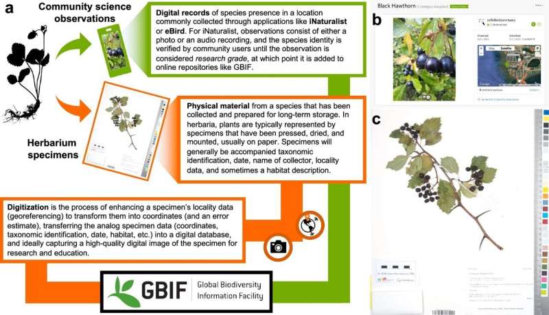 Digitally cataloging archived plant specimens can transform conservation efforts