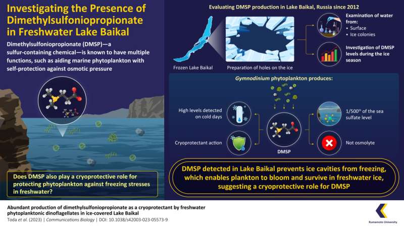 Dimethylsulfoniopropionate production by freshwater phytoplankton in Lake Baikal