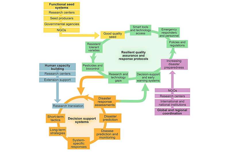 Disaster plant pathology: solutions to combat agricultural threats from disasters