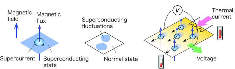 Discovery of a hidden quantum critical point in two-dimensional superconductors