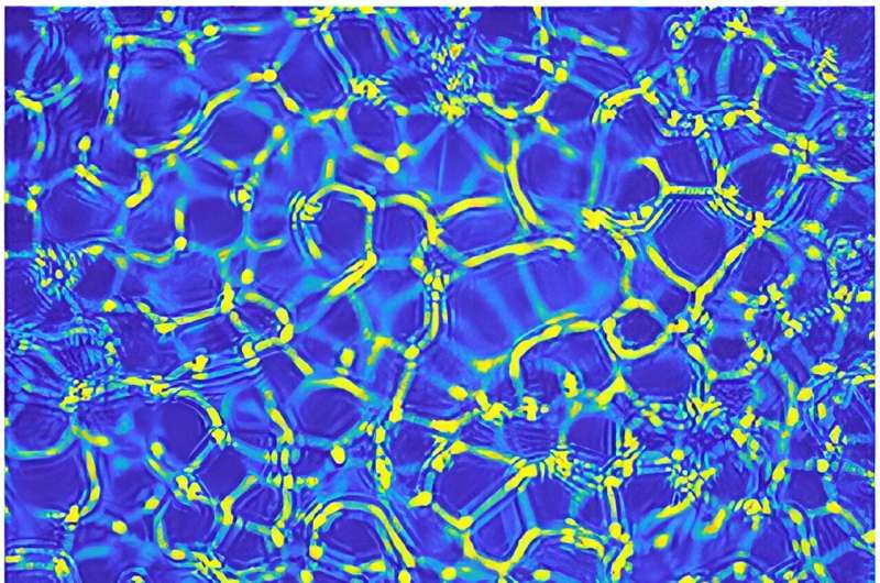 Discovery of a new convective instability in complex fluids, 140 years after Lord Rayleigh