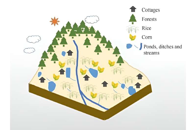 Ditches and ponds can be the sources or sinks of non-point source pollution: observations in an upland area in the Jinglinxi catchment, China