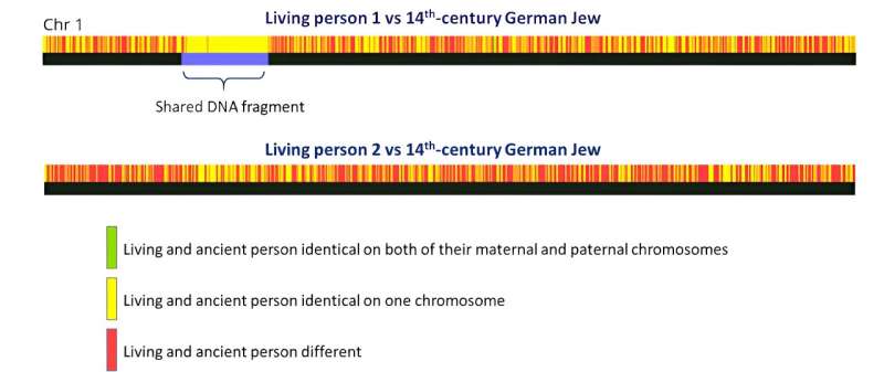DNA says you're related to a Viking, a medieval German Jew or a 1700s enslaved African? What a genetic match really means