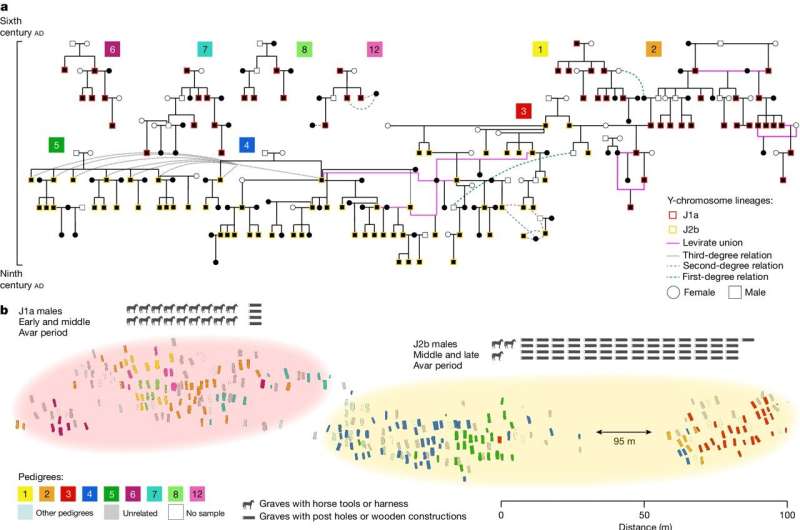 DNA study of Avar cemetery remains reveals network of large pedigrees and social practices