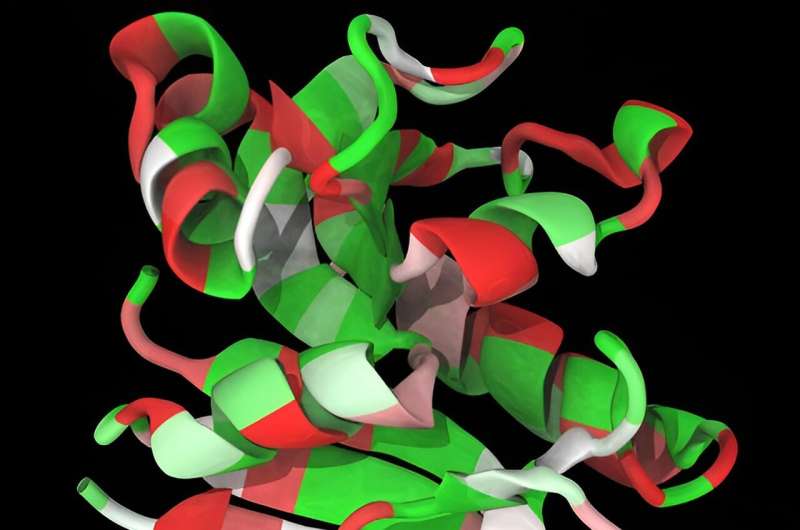 Do genes-in-pieces code for proteins that fold in pieces?