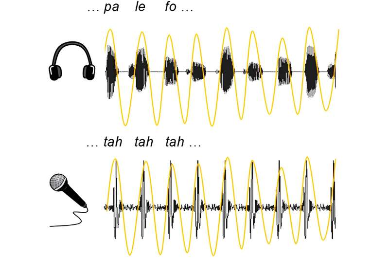 Do you have an ear for languages? It may be related to how you perceive the rhythms