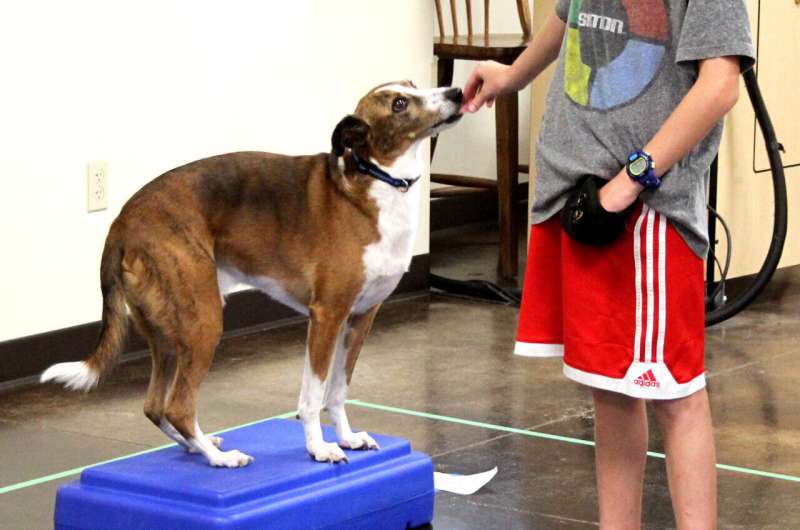 Dog-training program helps increase physical activity among kids with disabilities