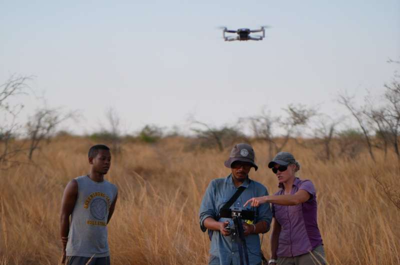 Drone flights and 3D scans: Kew scientist uses cutting-edge tech to protect Madagascar's vulnerable forests