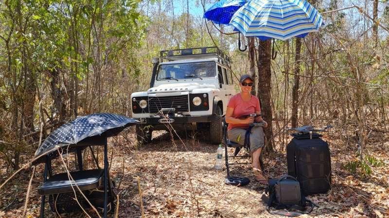 Drone flights and 3D scans: Kew scientist uses cutting-edge tech to protect Madagascar's vulnerable forests