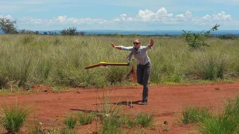 Loty dronami i skany 3D: naukowiec z Kew wykorzystuje najnowocześniejszą technologię do ochrony wrażliwych lasów Madagaskaru