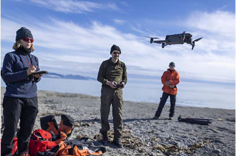 Drones validate walrus counts in satellite images from space