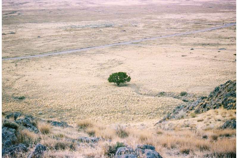 drought africa