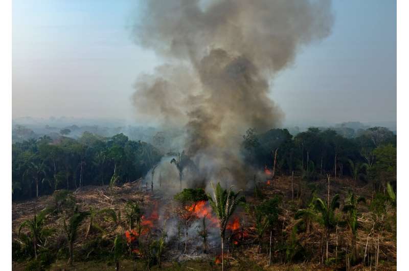 Drought devastated the Brazilian Amazon between June and November last year