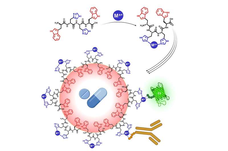 Drug delivery innovation: Multifunctional system based on switchable peptide-stabilized emulsions
