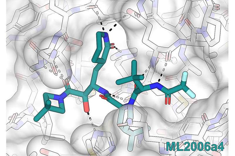 Drug design at the atomic level to thwart COVID-19