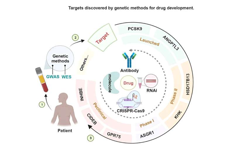 Drug development advances in beneficial loss-of-function (LOF) mutation targets validated by human genetics