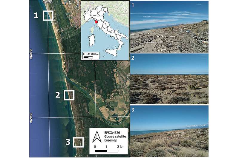 Dunes decoded: A comprehensive and precise mapping for coastal conservation